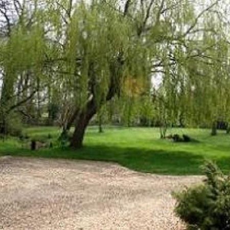 וודברידג' Thatched Farm Bed And Breakfast מראה חיצוני תמונה