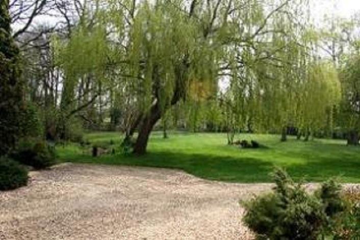 וודברידג' Thatched Farm Bed And Breakfast מראה חיצוני תמונה